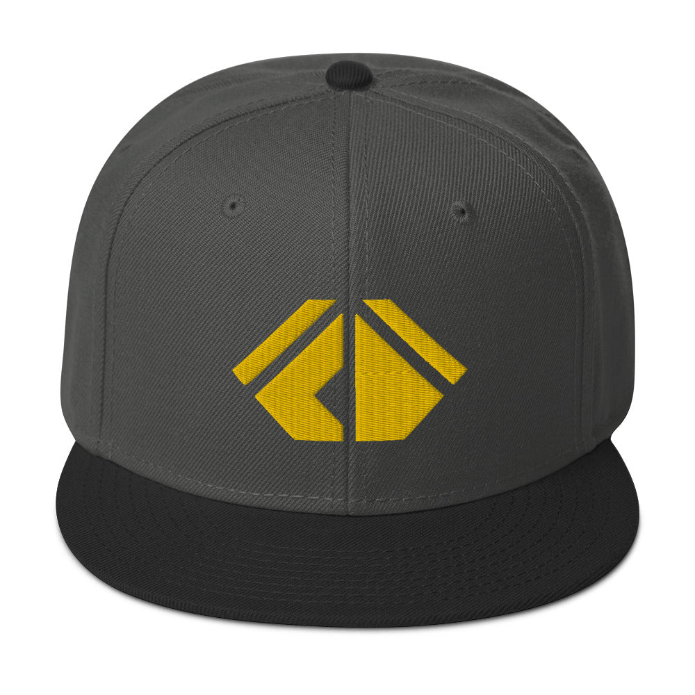 The Wealth Academy Snapback Hat
