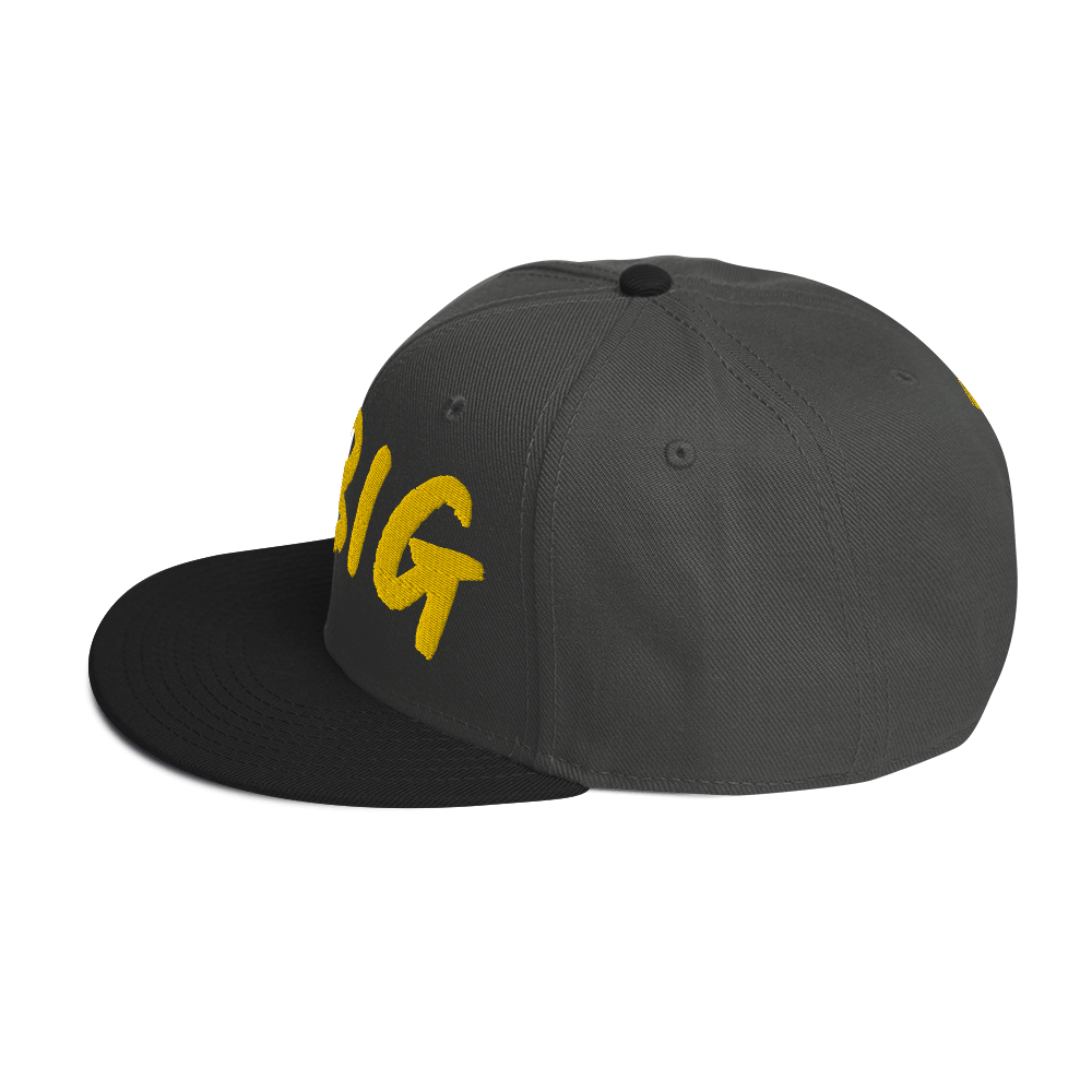 THINK BIG | Snapback Hat