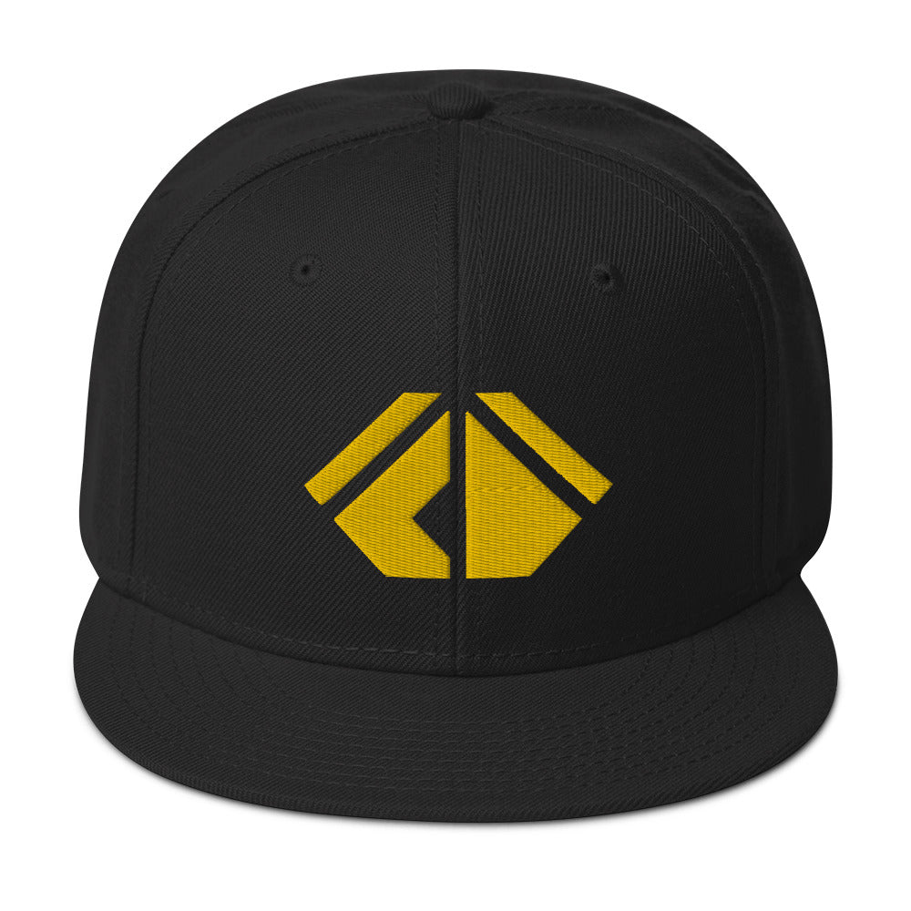 The Wealth Academy Snapback Hat