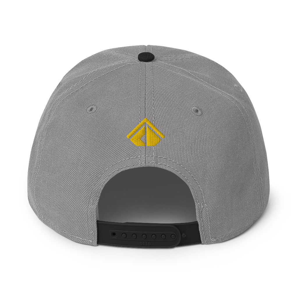The Wealth Academy Snapback Hat