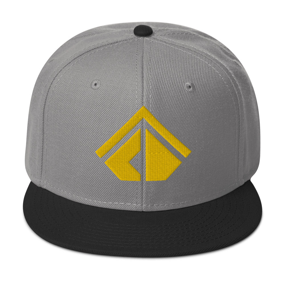 The Wealth Academy Snapback Hat