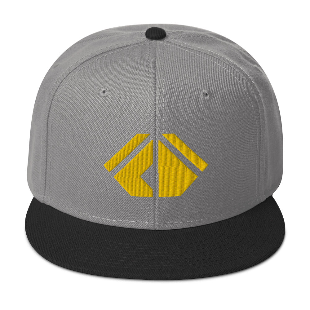 The Wealth Academy Snapback Hat