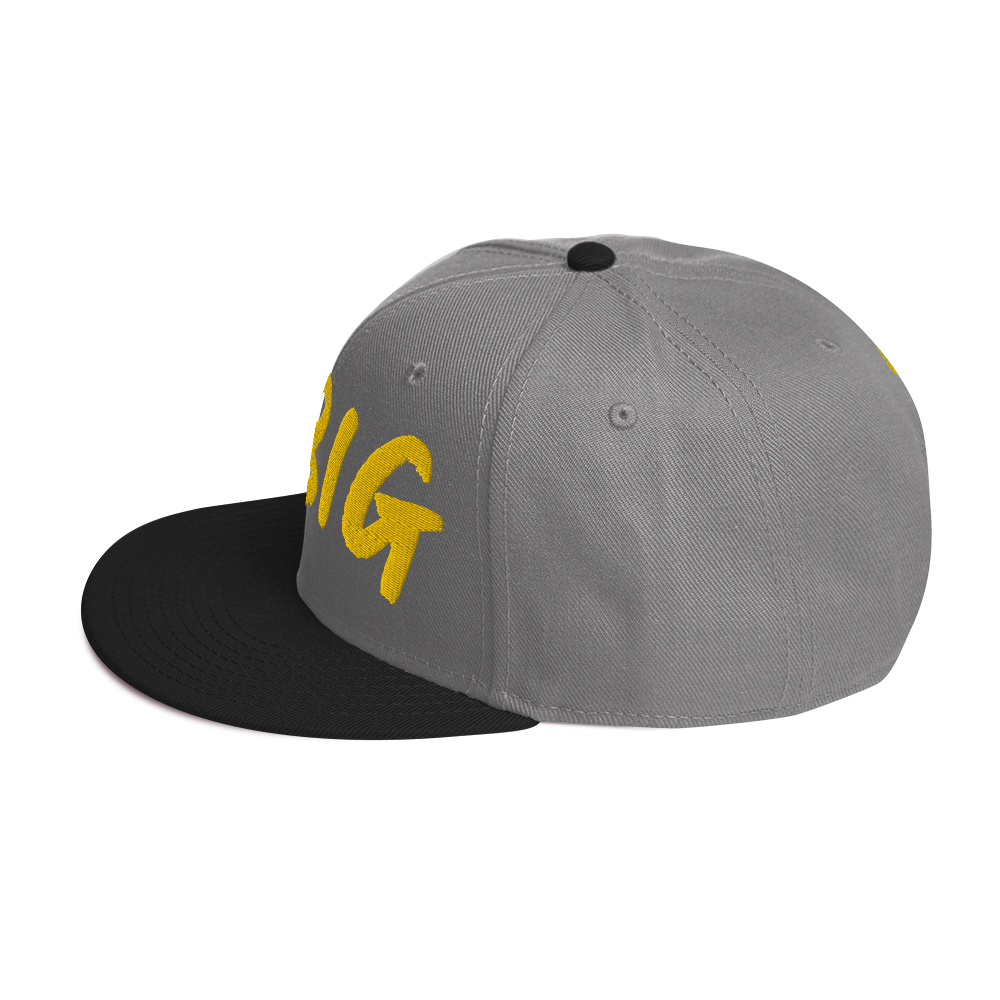 THINK BIG | Snapback Hat