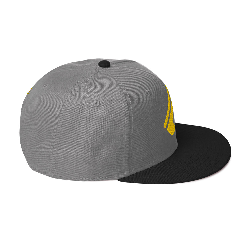The Wealth Academy Snapback Hat