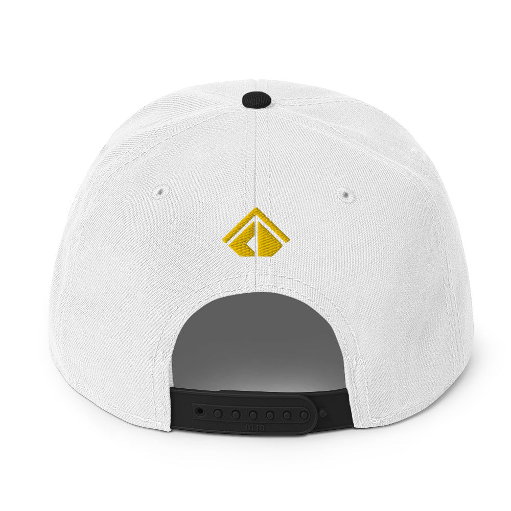 The Wealth Academy Snapback Hat