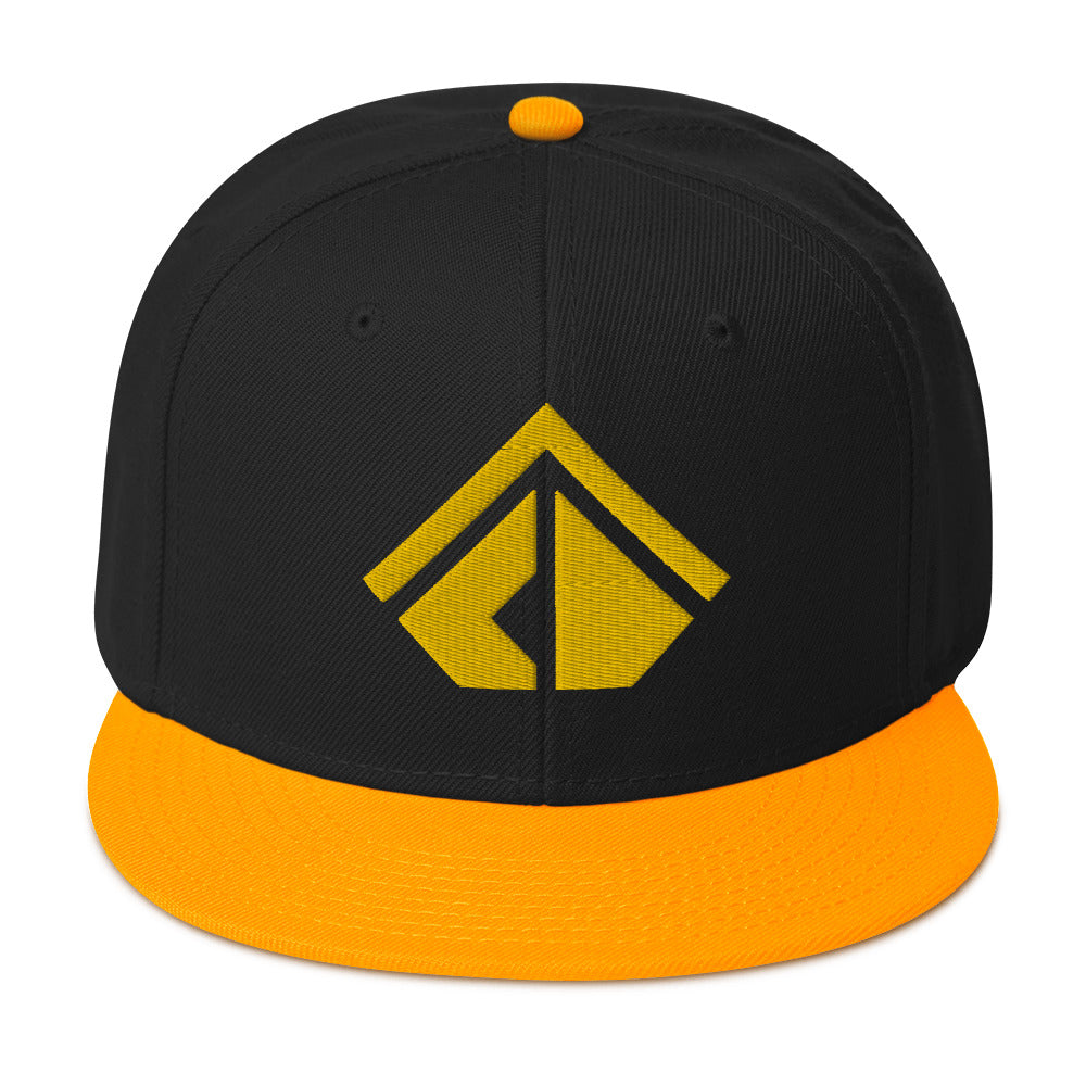 The Wealth Academy Snapback Hat