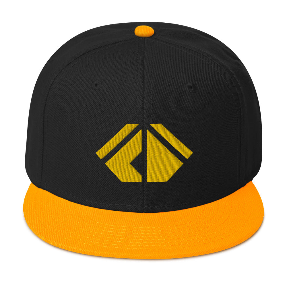 The Wealth Academy Snapback Hat
