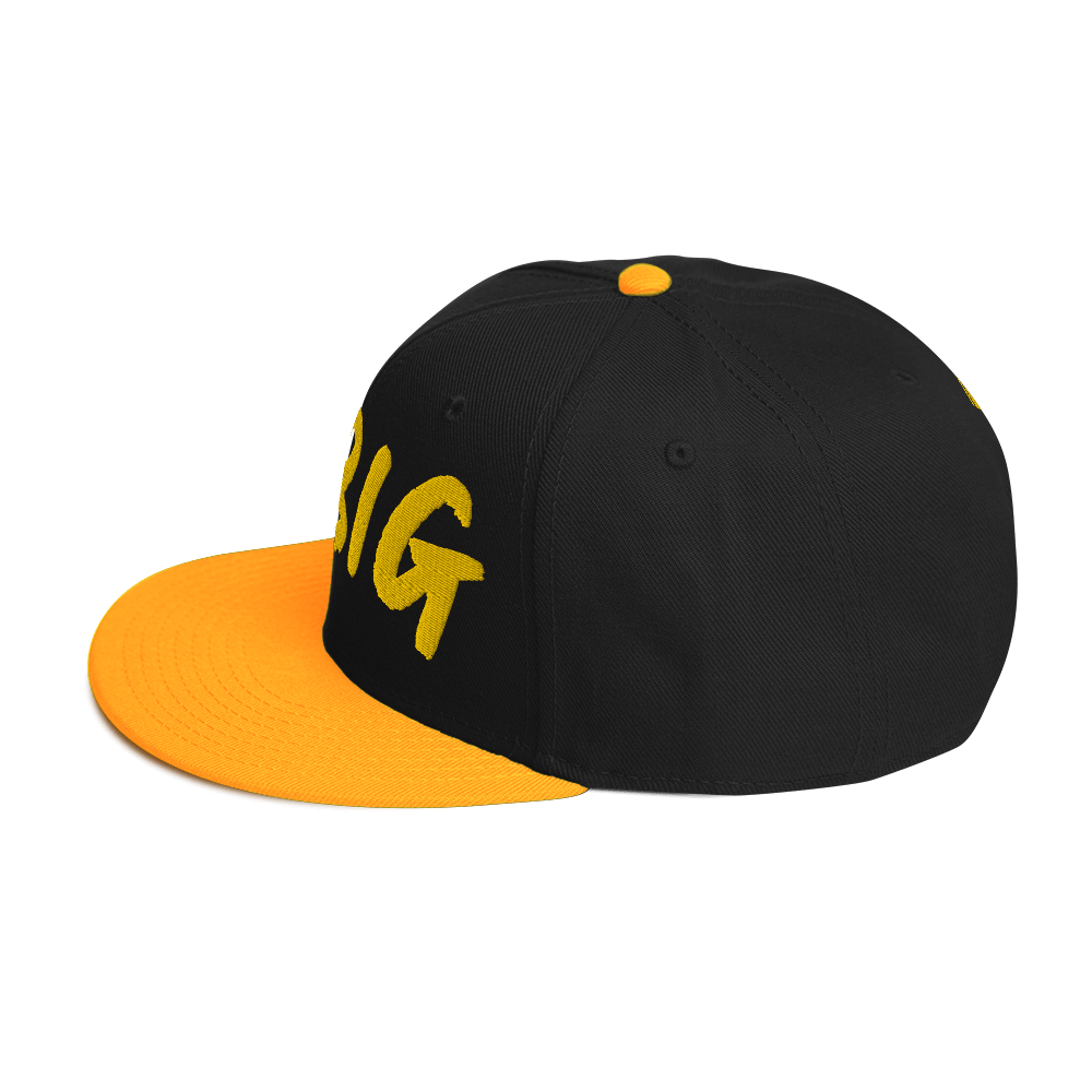 THINK BIG | Snapback Hat