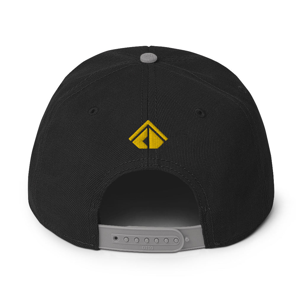 The Wealth Academy Snapback Hat