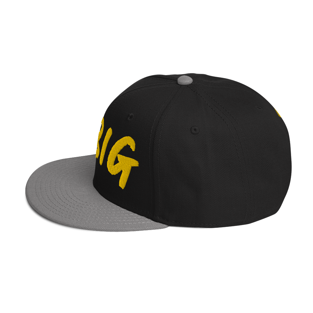 THINK BIG | Snapback Hat