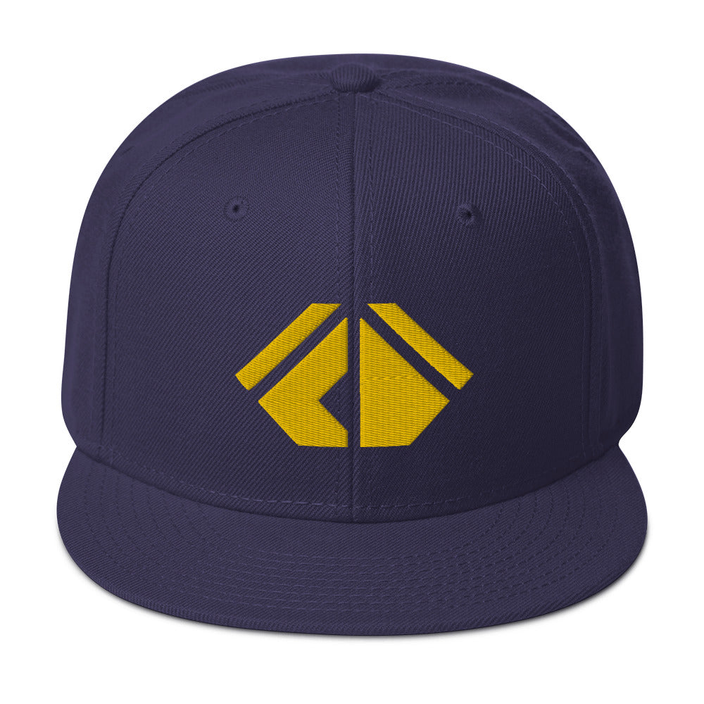 The Wealth Academy Snapback Hat