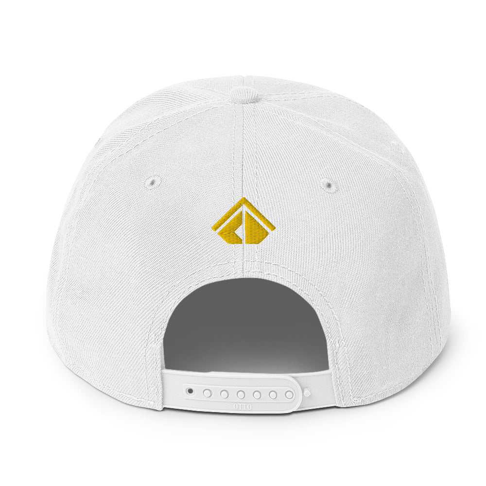 The Wealth Academy Snapback Hat