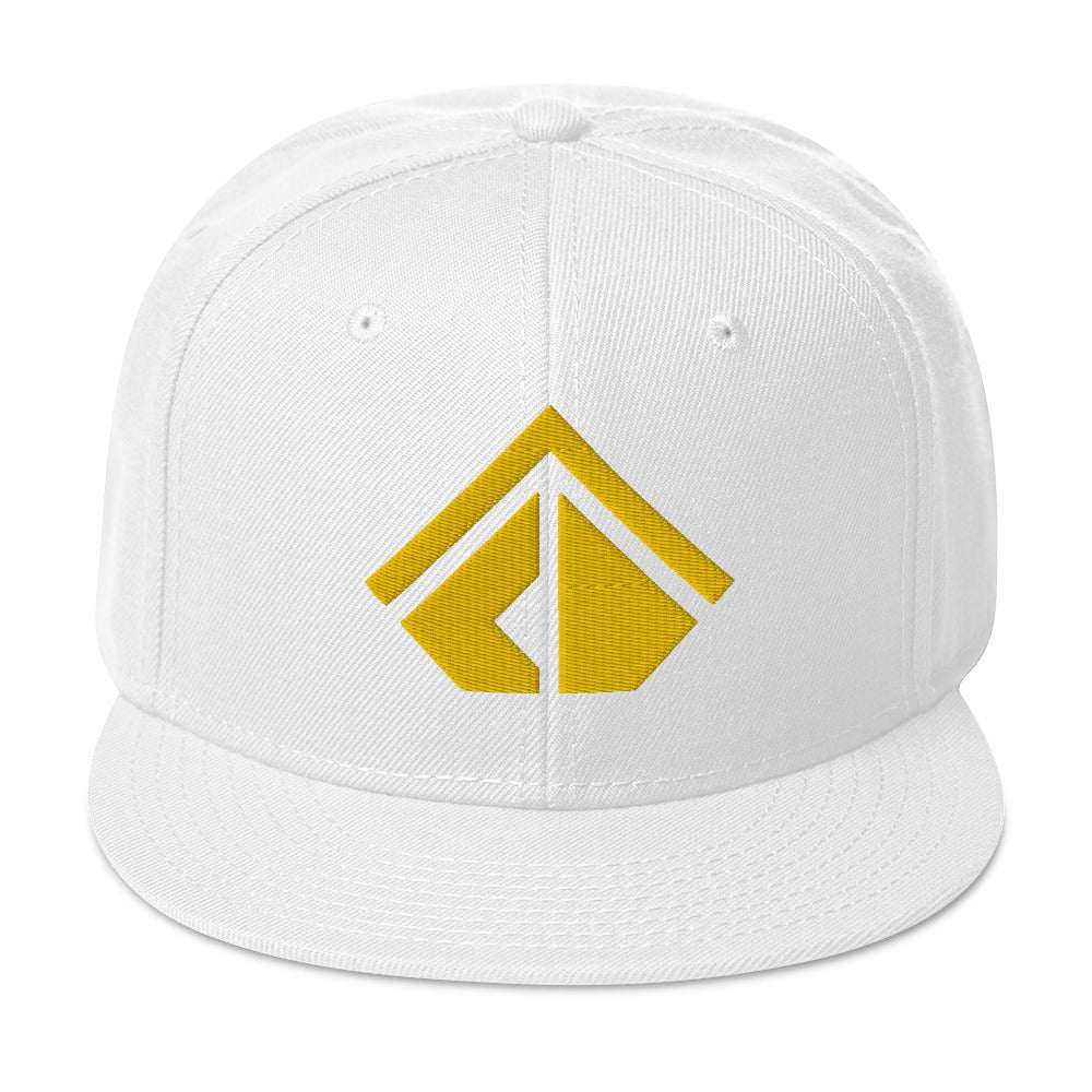The Wealth Academy Snapback Hat