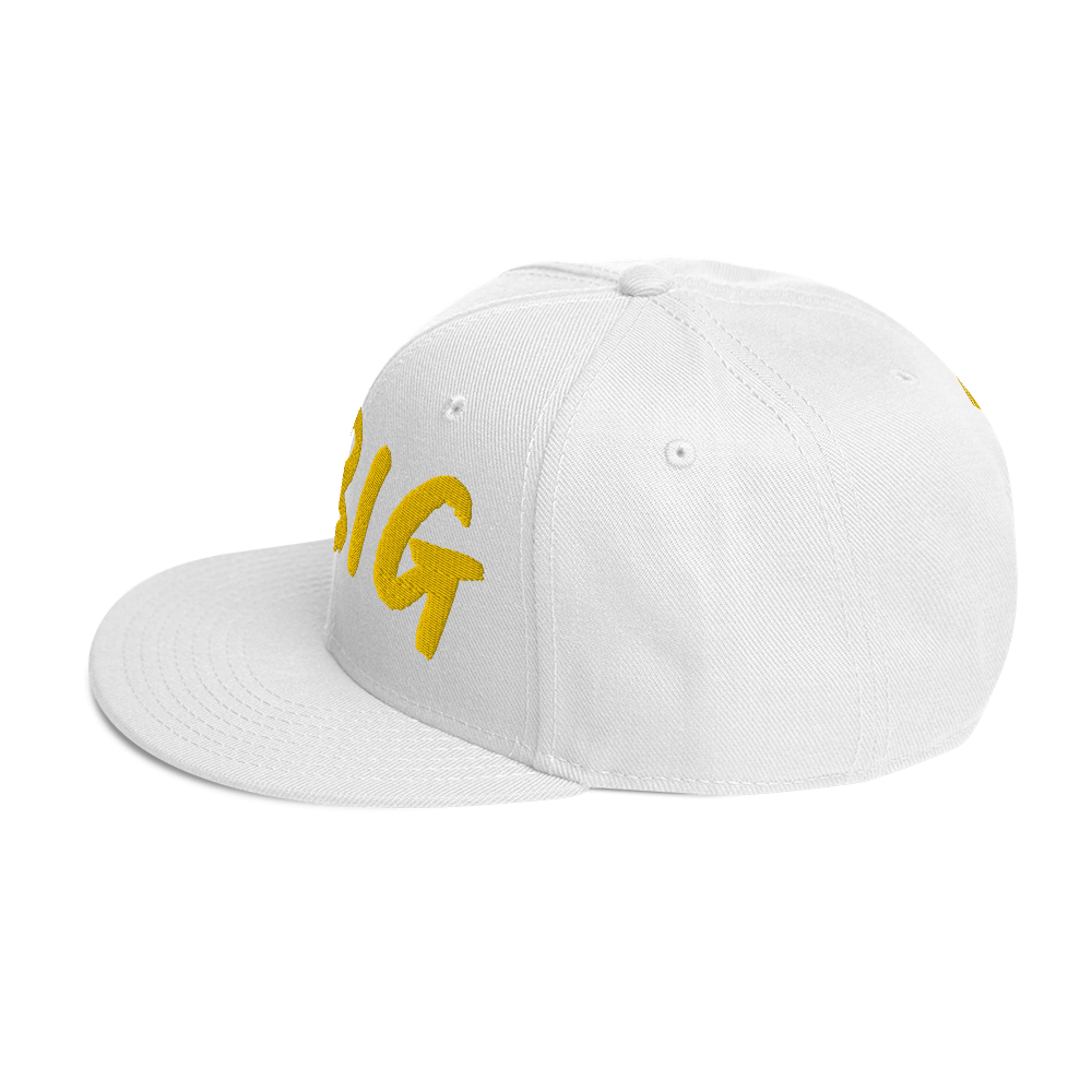 THINK BIG | Snapback Hat