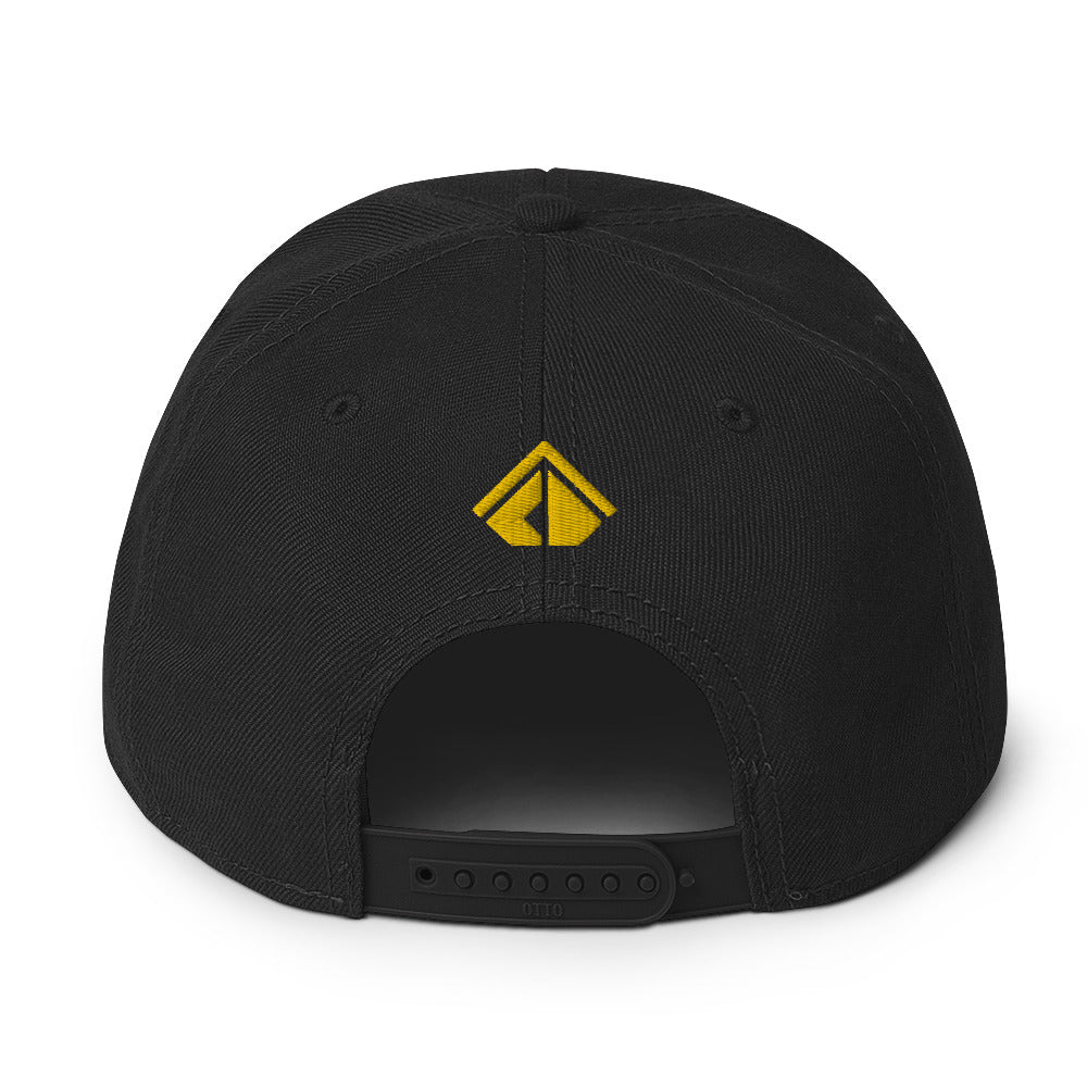 The Wealth Academy Snapback Hat