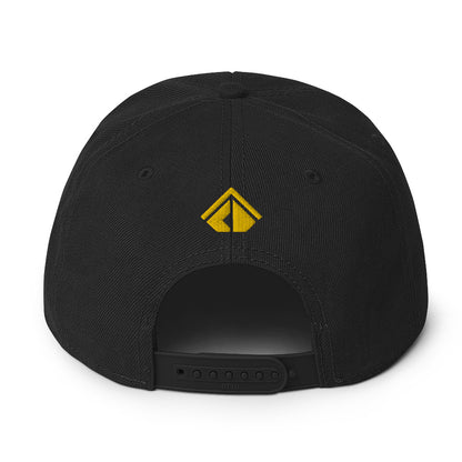 The Wealth Academy Snapback Hat