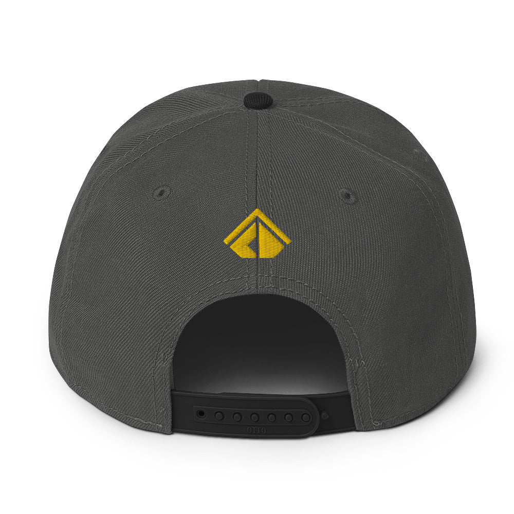 The Wealth Academy Snapback Hat