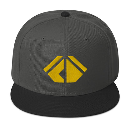 The Wealth Academy Snapback Hat