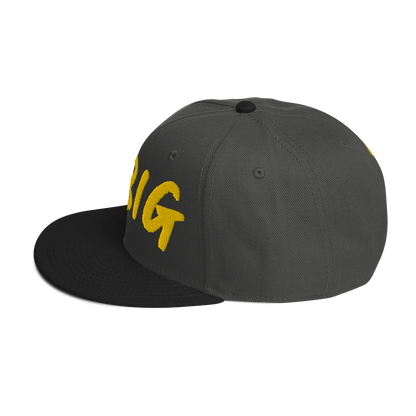 THINK BIG | Snapback Hat