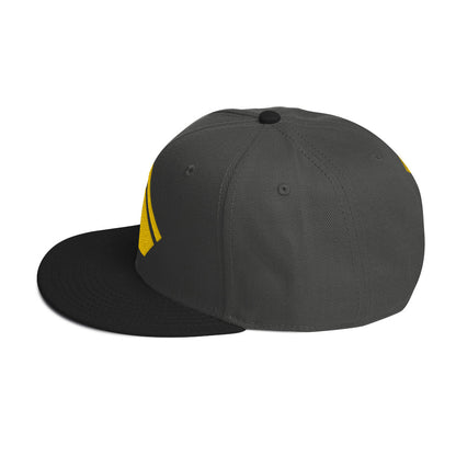 The Wealth Academy Snapback Hat