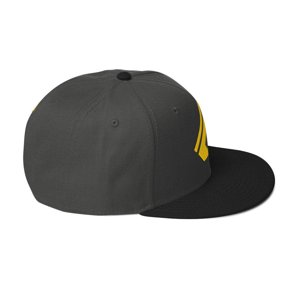 The Wealth Academy Snapback Hat