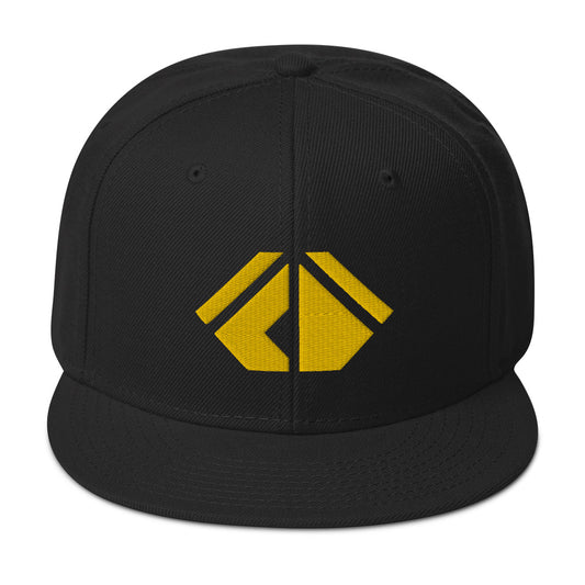 The Wealth Academy Snapback Hat