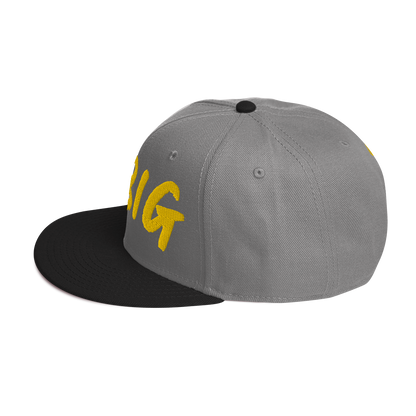 THINK BIG | Snapback Hat
