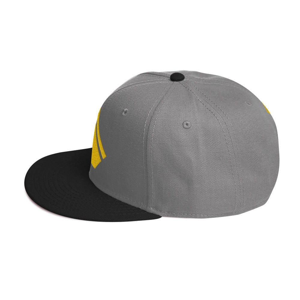 The Wealth Academy Snapback Hat