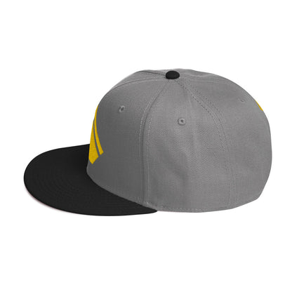 The Wealth Academy Snapback Hat