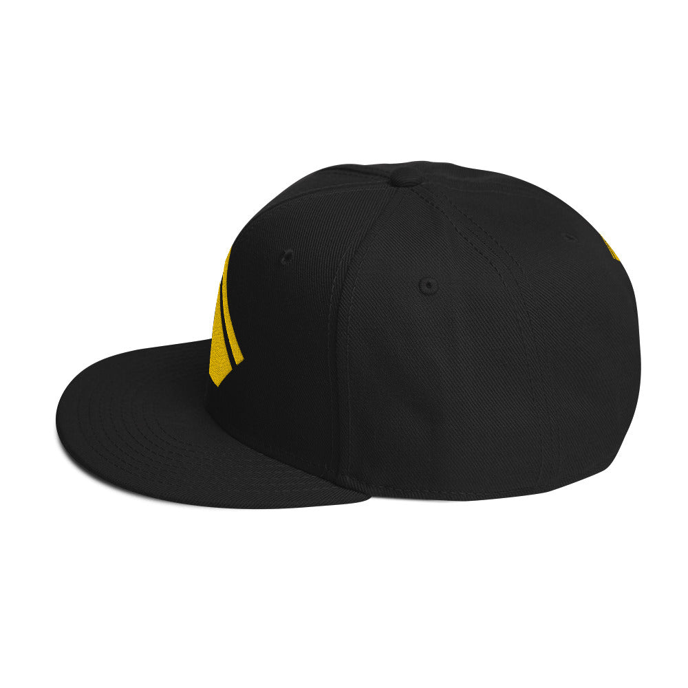 The Wealth Academy Snapback Hat