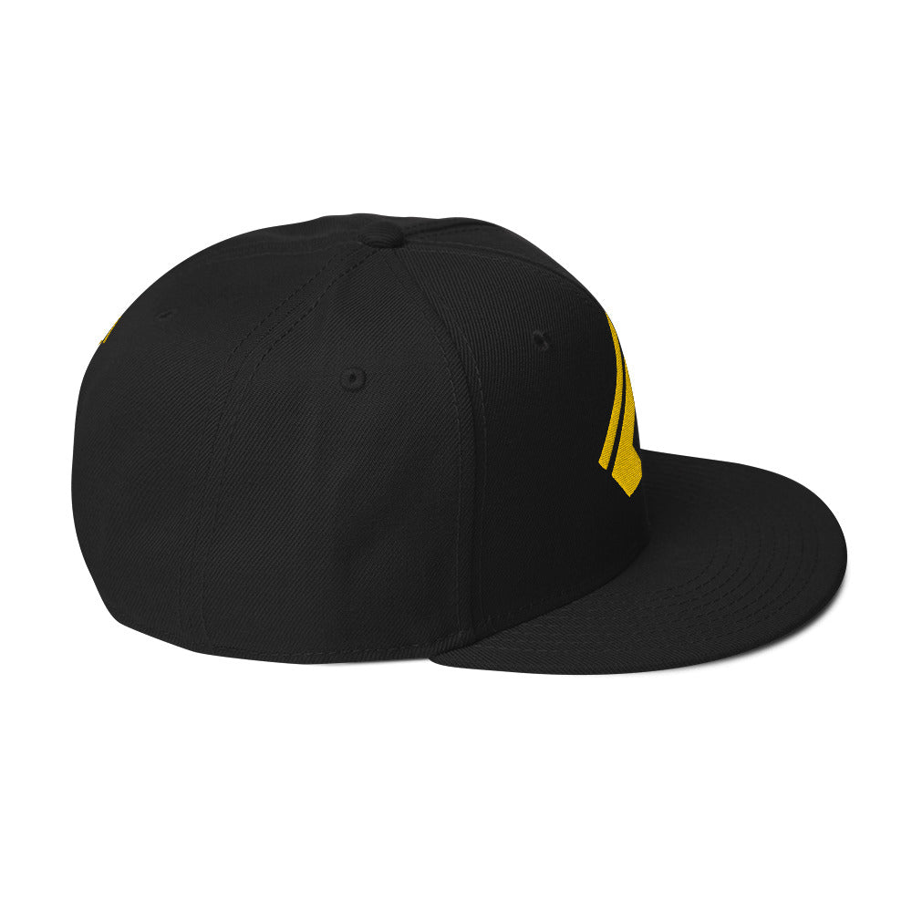 The Wealth Academy Snapback Hat