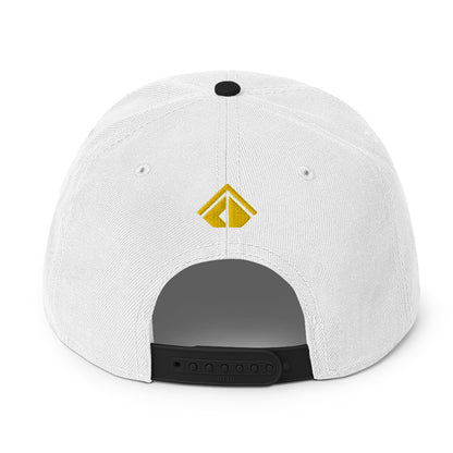The Wealth Academy Snapback Hat