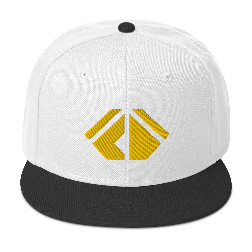 The Wealth Academy Snapback Hat