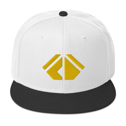 The Wealth Academy Snapback Hat