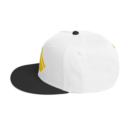 The Wealth Academy Snapback Hat