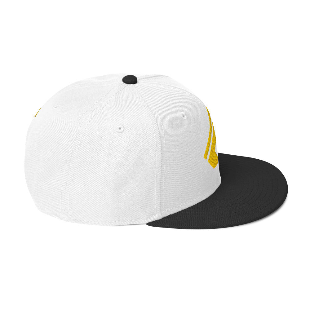 The Wealth Academy Snapback Hat