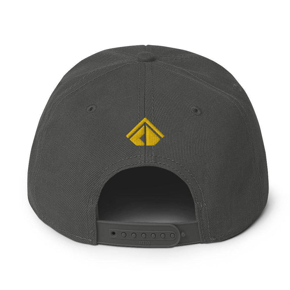 The Wealth Academy Snapback Hat