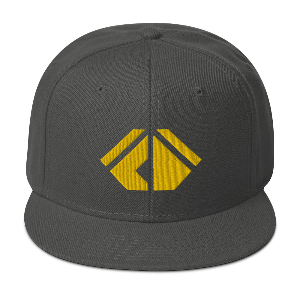 The Wealth Academy Snapback Hat