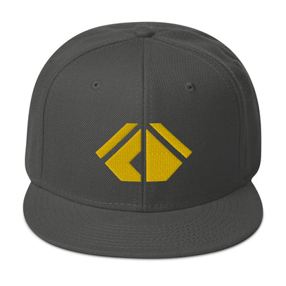 The Wealth Academy Snapback Hat