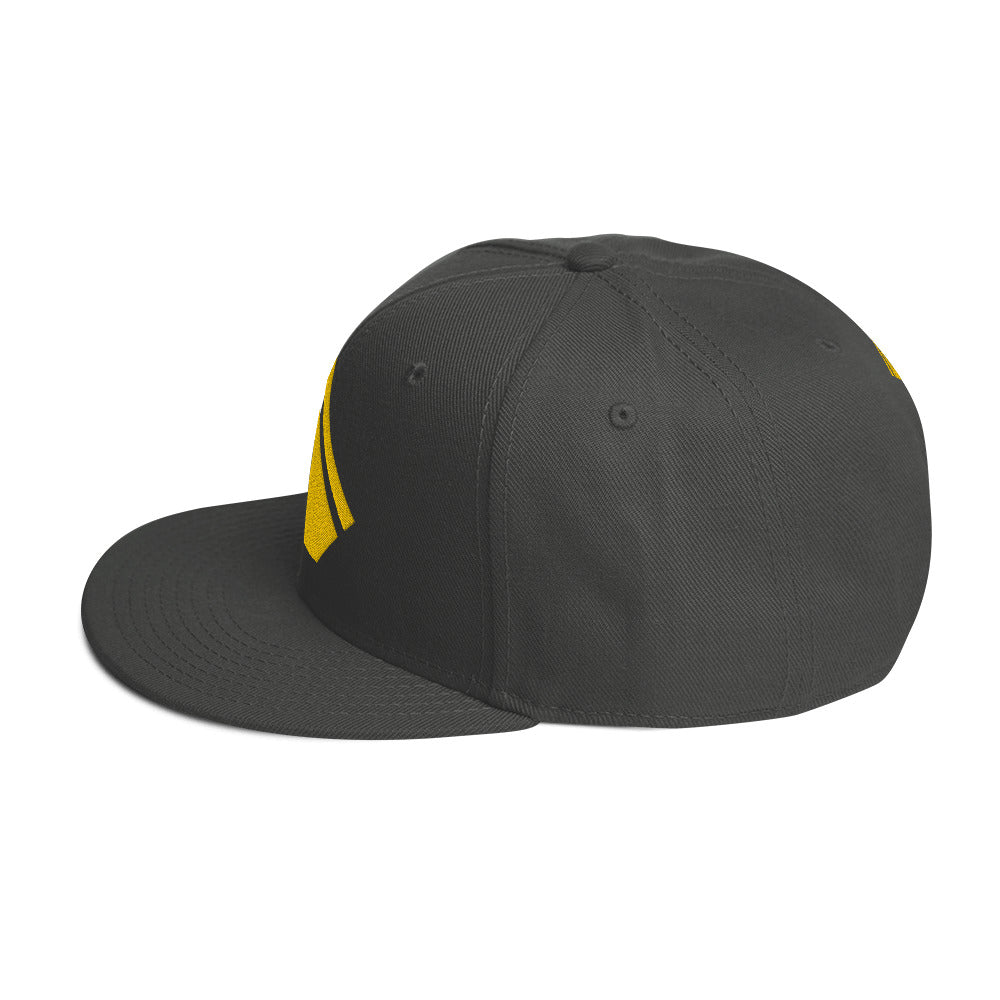 The Wealth Academy Snapback Hat