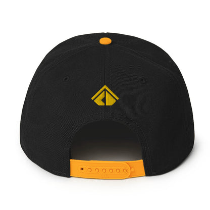 The Wealth Academy Snapback Hat