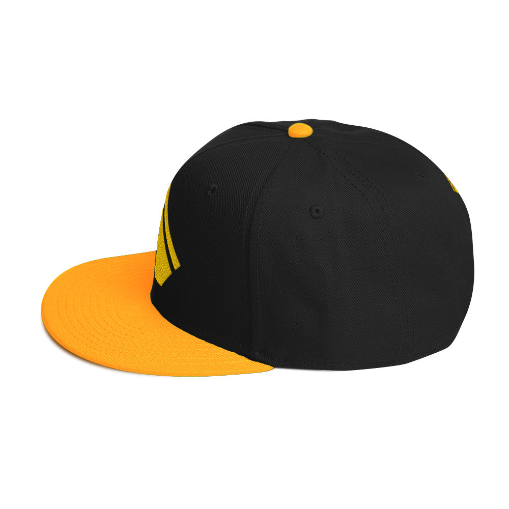 The Wealth Academy Snapback Hat