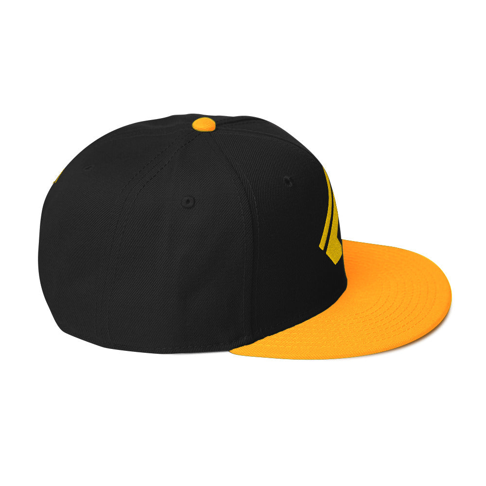 The Wealth Academy Snapback Hat