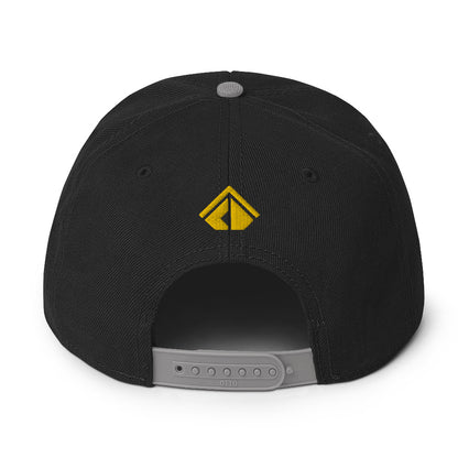 The Wealth Academy Snapback Hat