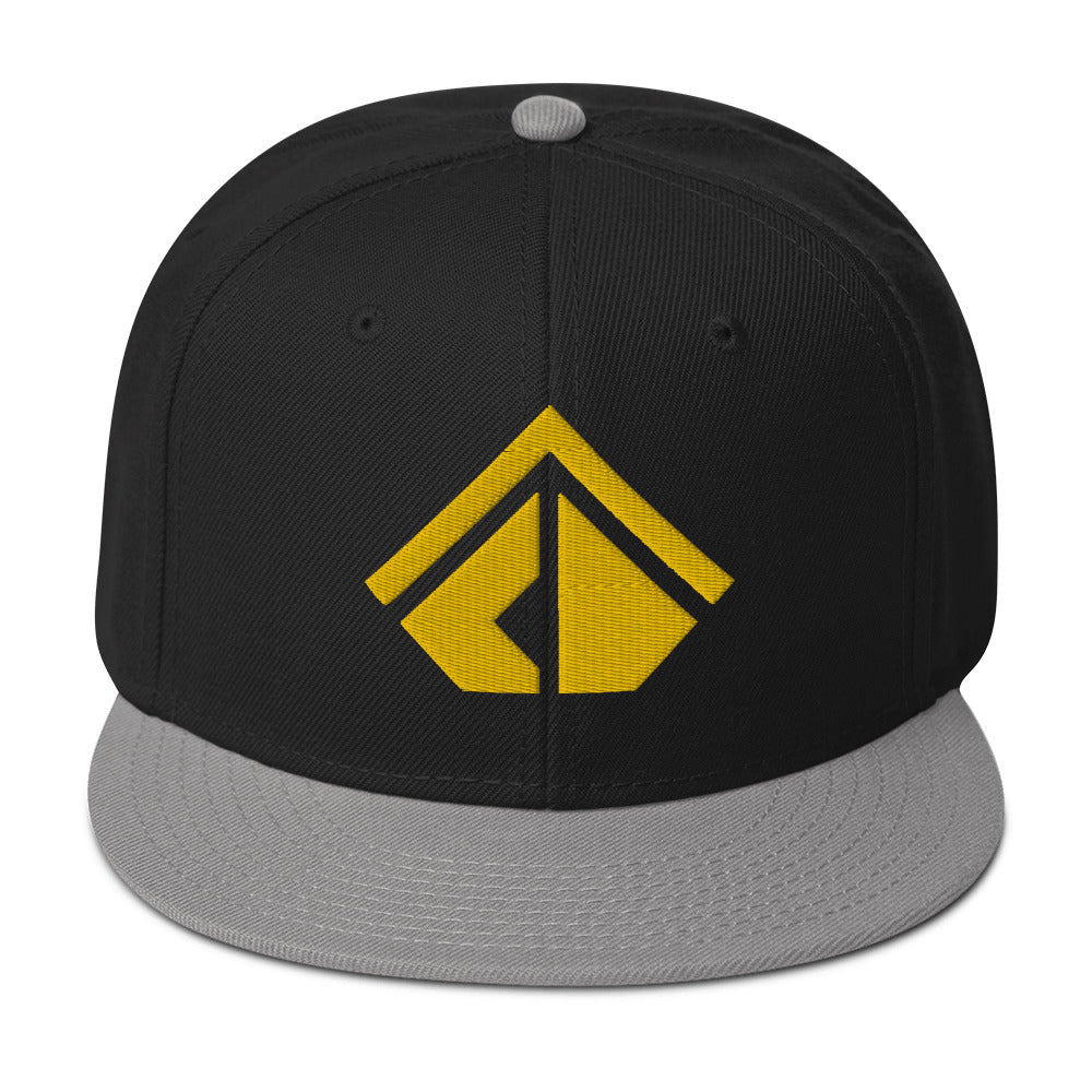 The Wealth Academy Snapback Hat
