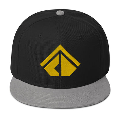 The Wealth Academy Snapback Hat