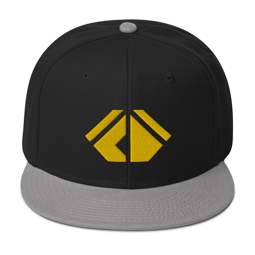 The Wealth Academy Snapback Hat