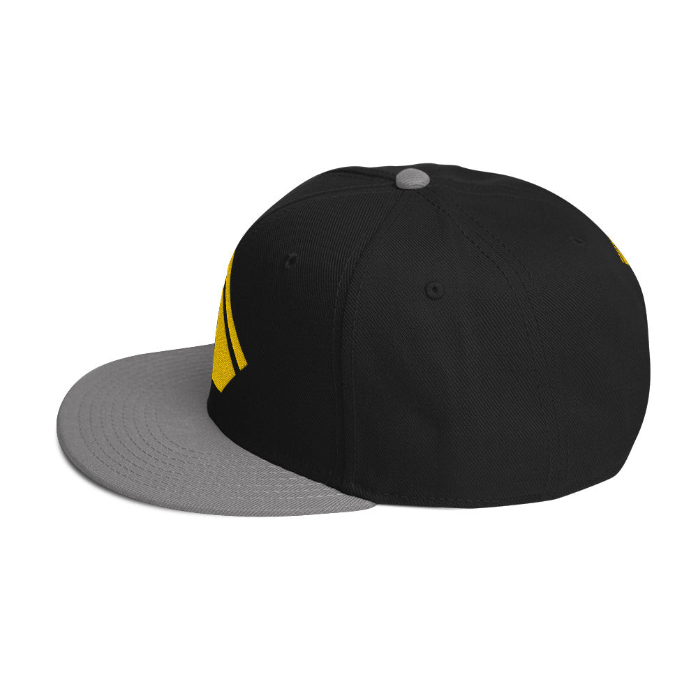 The Wealth Academy Snapback Hat