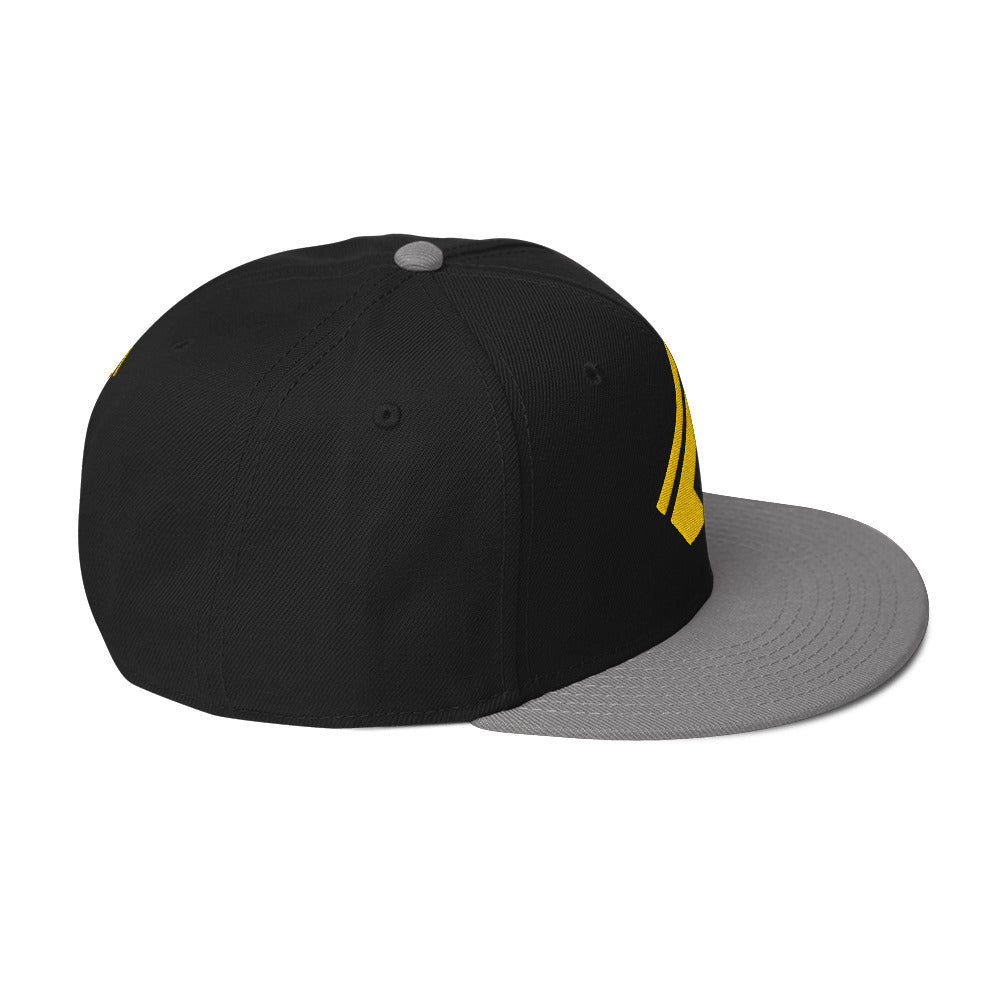 The Wealth Academy Snapback Hat