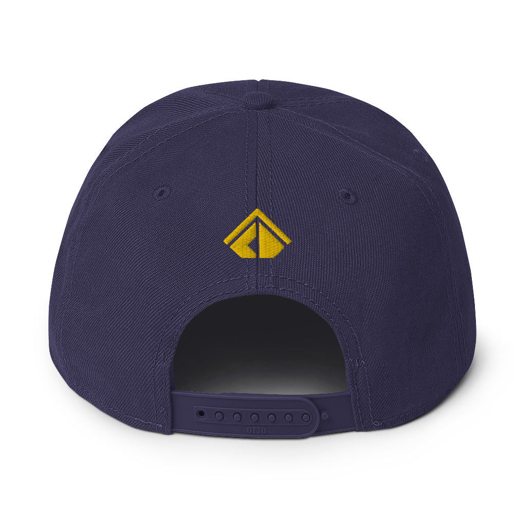 The Wealth Academy Snapback Hat